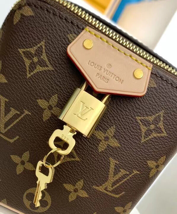 Louis Vuitton JUST IN CASE bag Brown